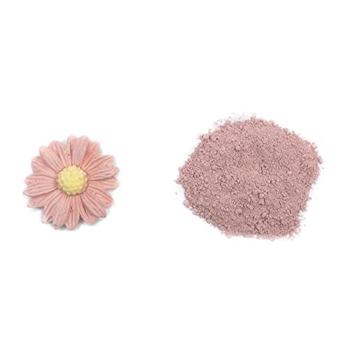 Pink Champagne Petal Dust | Light Pink Matte Powder | Premium Decoration Dust for Cake Accessories | Sugar Fondant Powder | DIY Crafting | Non-Toxic | Pigmento Rosa | 4 Grams