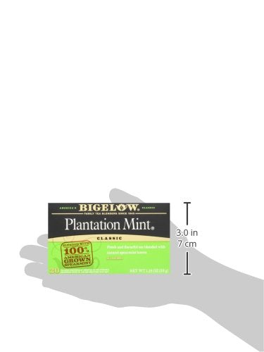 Bigelow Plantation Mint, 20 BG (Pack of 6)