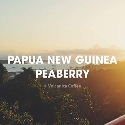Papua New Guinea Peaberry Coffee, Whole Bean, Fair Trade, Fresh Roasted, 16-ounce