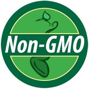 Non GMO Dwarf Sunspot Sunflower Seeds (10 Lbs)