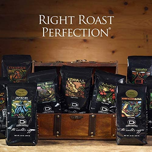 Sampler Coffee Variety Pack | 100% Specialty Arabica Coffee | 6 1.75oz Try-Me-Size one pot bags, light-medium roast