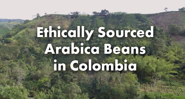 Cafì±?Grumpy Coffee - Colombia Whole Beans Arabica, 12oz Bag, Single Origin, Medium Roast, Drip, French Press, Pour Over, Cold Brew (Whole Beans)