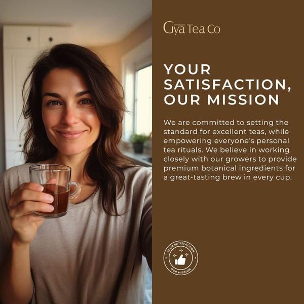 Gya Tea Co Cinnamon Apple Tea pod Tea Gift Set (16 ct) - Decaf Apple Cider for Soothing & Digestive Health