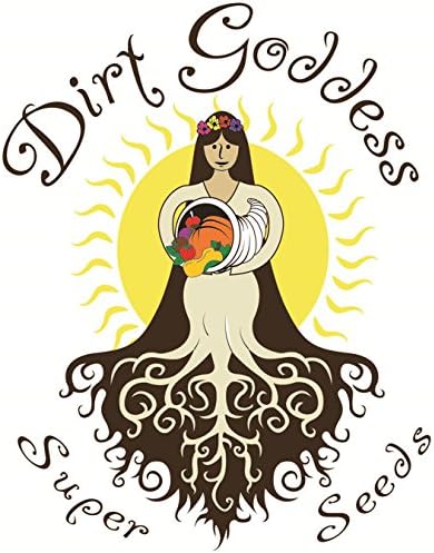 Dirt Goddess Super Seeds ~ Dwarf Sunspot Sunflower Seeds (1 Lb) 3,500 Seeds Non GMO