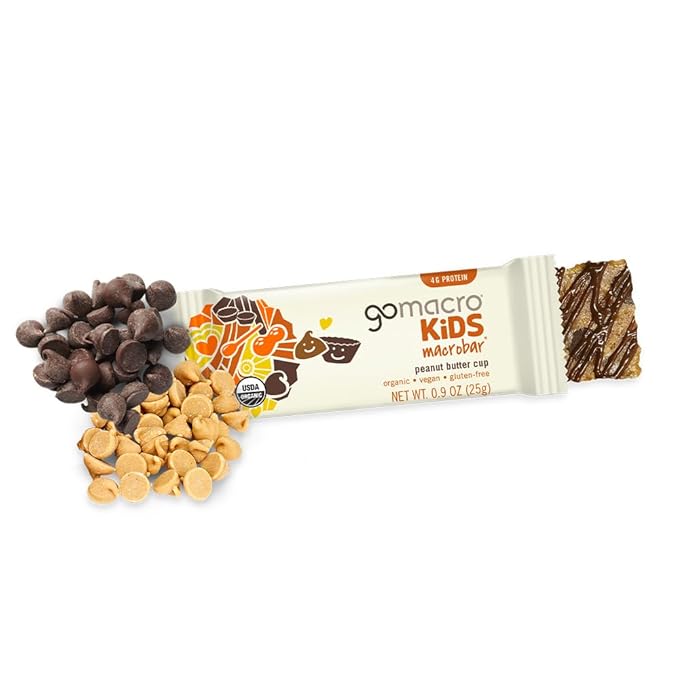 GoMacro MacroBar Organic Vegan Protein Bars - Maple Sea Salt & Oatmeal Chocolate Chip (2.3 Ounce Bars, 12 Count) (Pack of 2)