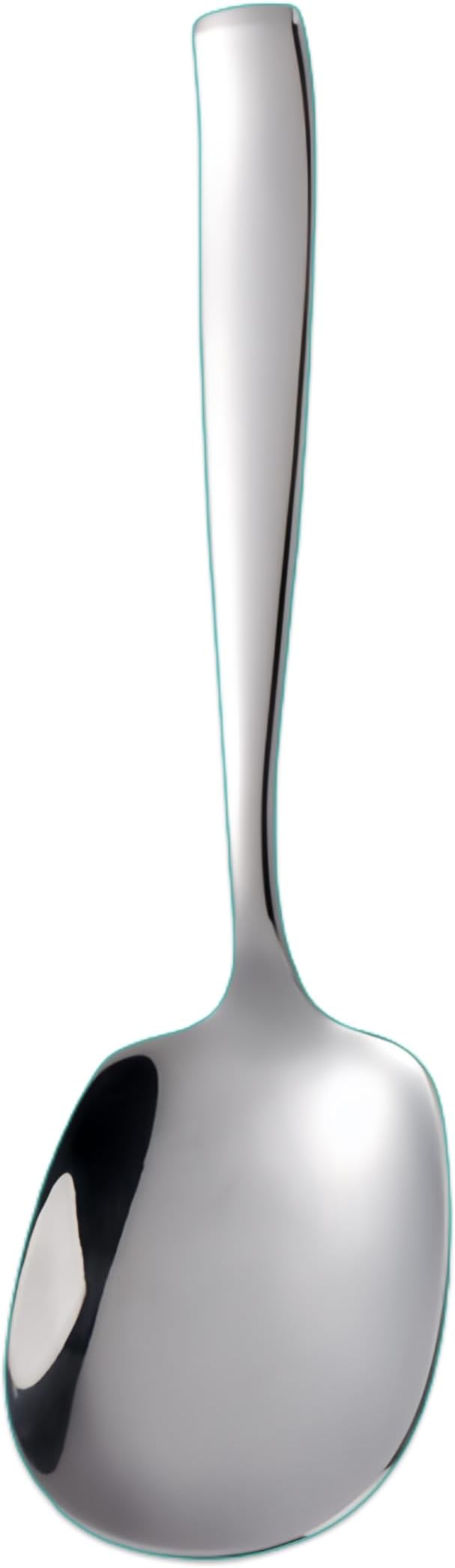 X-Large Buffet Serving Spoon,316L Stainless Steel Heavy duty Serving Spoon,Dishwasher Safe 9.5 inches 1Pack