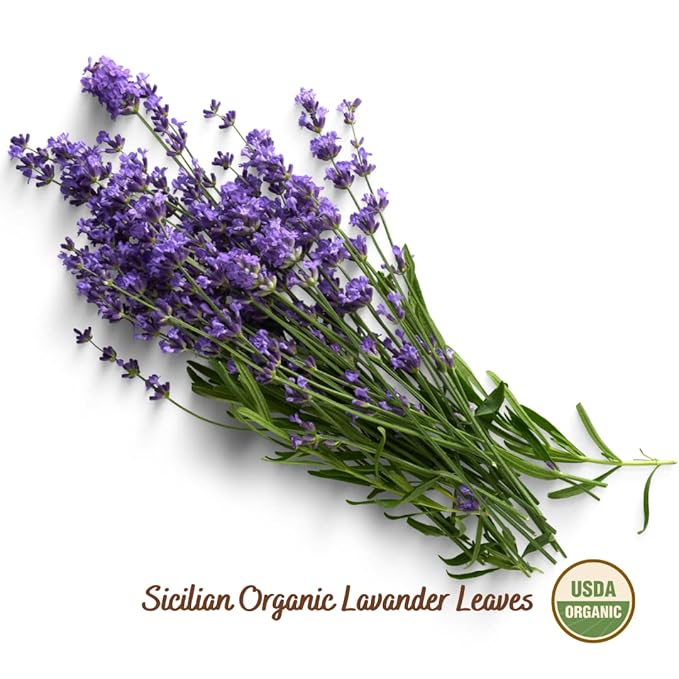 Filippone짰 Organic Dried Lavender Bunch 25 g (0.88 oz), Freshly Grown in The Mountains of Sicily, Culinary Lavender, Italian Dried Lavender Branches, Herb, Spices, Certified USDA Organic