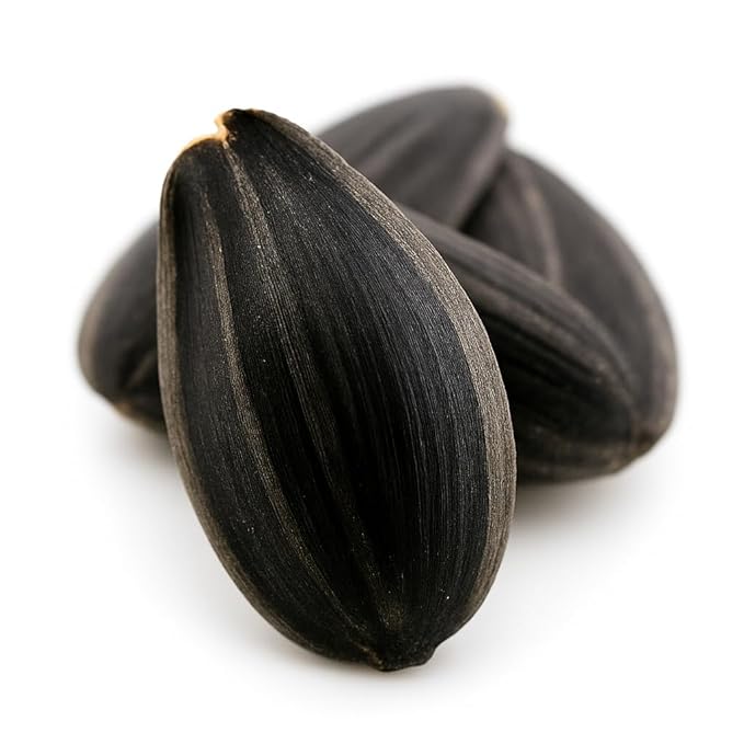 Crazy Nuts | Black Oil Sunflower Seeds for Birds, 10lb | Black Sunflower Seeds for Birds, Sunflower Bird Seed, Wild Bird Feed