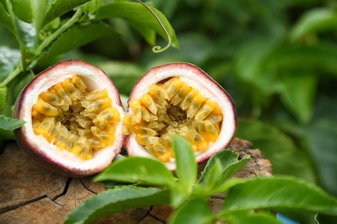 Naturally Delicious Dried Passion Fruit Maracuja 8-oz Bags, No Added Chemicals, No Added Colorings, No Preservatives, Made in Vietnam from fully mature fruits (8 oz)??,<div>