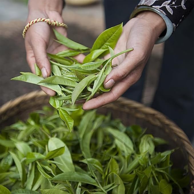 Palais des Th챕s - Spring Green Tea, Mint & Bergamot - 20 Cotton Tea Bags, Serves 20 Cups