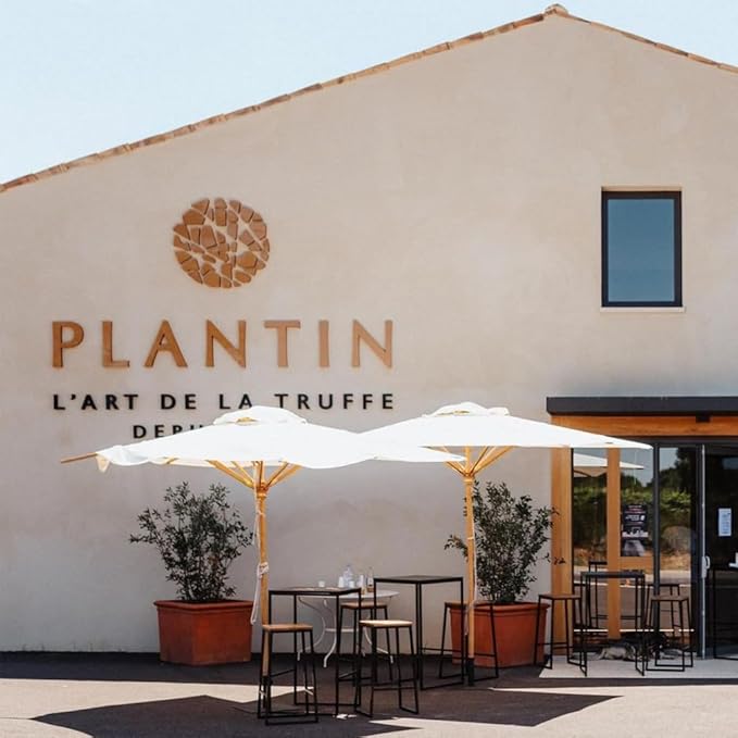 PLANTIN | Summer Truffle Kettle Cooked Potato Chips | Flavored with Tuber Aestivum Truffles | Imported from France | One 100g Bag