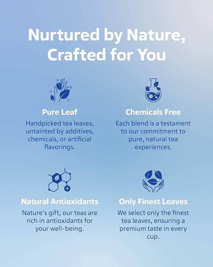 LOVARE Loose Leaf Tea 80 g - Made in Ukraine - Assorted Tea - 1001 Night, Passion Fruit, Sparkling Splashes, Bahamian Soursop - Gift Box with 60 Paper Filters ??Easy to Brew Flavored tea
