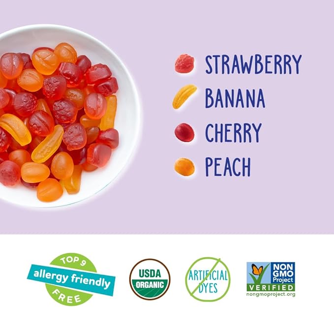 YumEarth Organic Assorted Flavor Fruit Snacks - Allergy Friendly (Top 9 Free), No Artificial Dyes or Flavors, Non GMO, Gluten Free, Vegan Candy Snacks - 0.7 Ounce (Pack of 5)