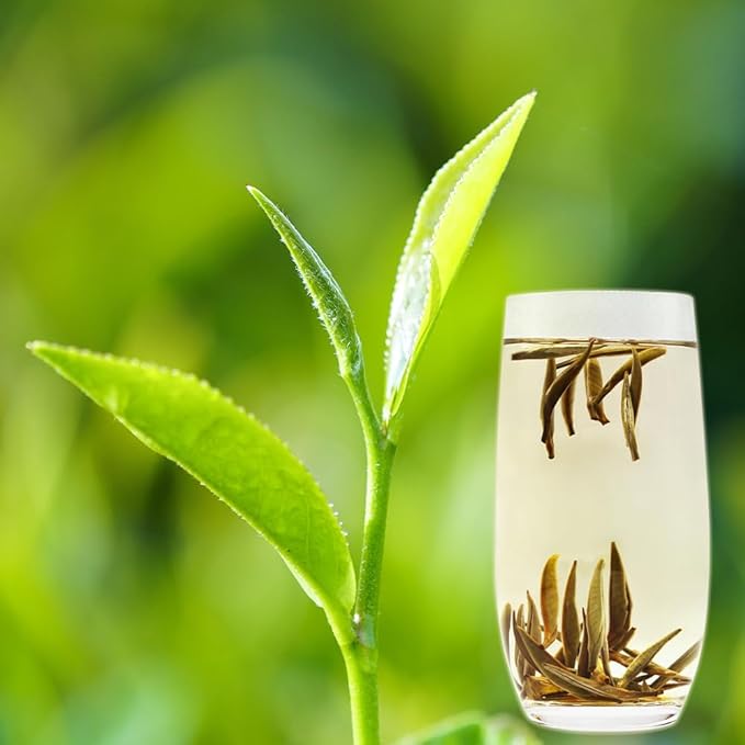 LWXLJMJZC-2.8oz/80g Silver Needle White Tea | Chinese Silver Tips Loose Leaf Tea | Yunnan Yin Zhen With Delicate Honeysuckle