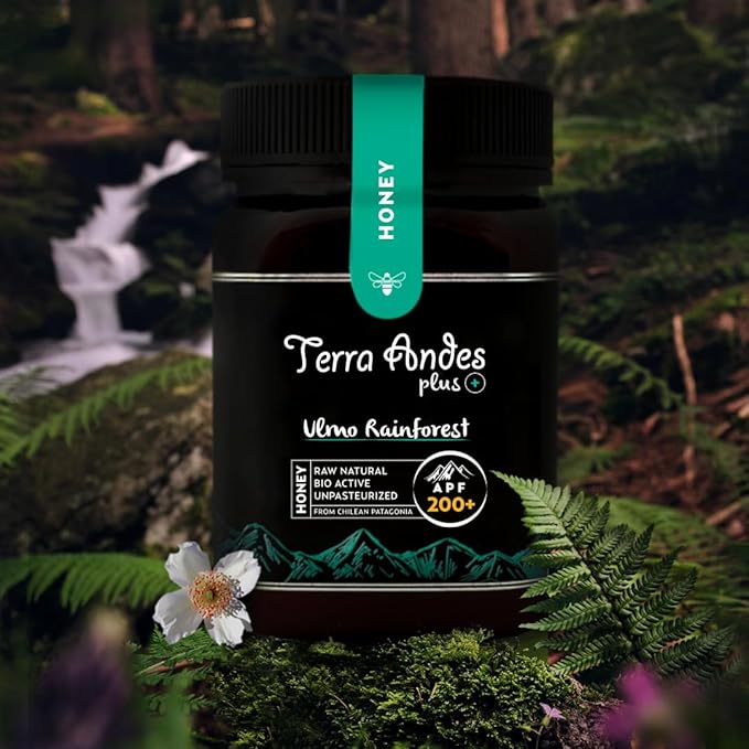 Ulmo Rainforest honey APF 200+ by Terra Andes Plus. Raw natural organic honey. Highest bioactive grade. Made in Chilean Patagonia. 100% pure. NON Gmo. Awarded worldwide. (17.6 oz)