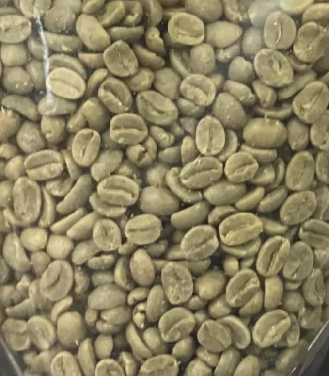 Single Origin Unroasted Green Coffee Beans, From El Salvador, Specialty Grade, Finca Portezuel, Bourbon and Caturra Varietals (5 lbs, El Salvador Honey)