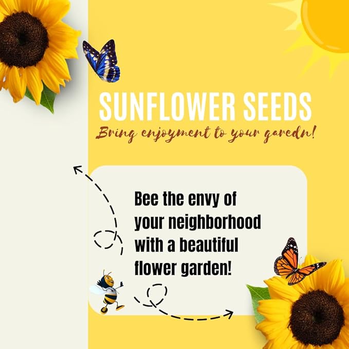 Sunflower Seeds for Planting - to Plant a Mix of Sunflowers Velvet Queen, Autumn Beauty, Dwarf Sunflower, Sunspot, Mammoth, Teddy Bear, Lemon Queen, and Sungold.