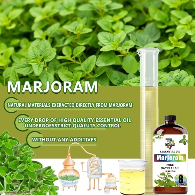 Marjoram Essential Oil (8 oz / 240 ml) ??Marjoram Oils for diffusers, humidifiers, Home Baths, Cleaning Products, Yoga, DIY Soaps and DIY Scented Candles