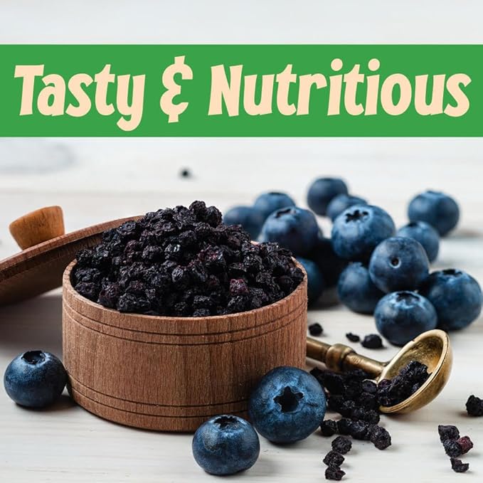 Sincerely Nuts Dried Blueberries (1 LB) Gluten-Free, Vegan & Kosher Snack - Fresh from USA - Bulk, Delicious Dried Fruit for all your Smoothies, Baking, Pancakes and Salads Needs