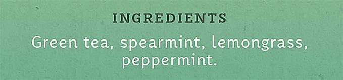 Stash Tea Moroccan Mint Green Tea - Caffeinated, Non-GMO Project Verified Premium Tea with No Artificial Ingredients, 30 Count (Pack of 6) - 180 Bags Total