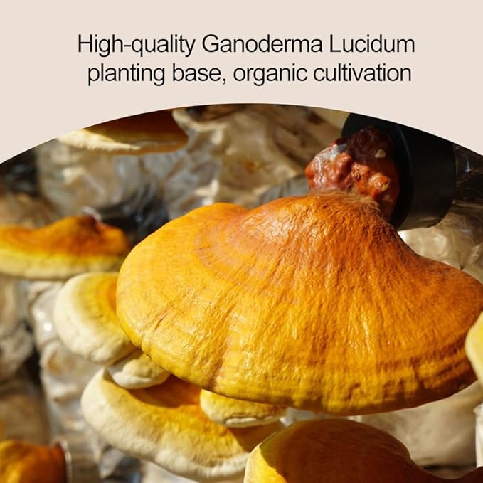 WL Herbal Treasure Ganoderma Reishi Latte Mix, Instant Mushroom Coffee with All Natural Ganoderma Lucidum.