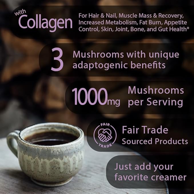 Focus Boost Organic mushroom Instant Coffee - 10 x 9g Packets - Healthy Coffee alternative and Substitute - With Dynamine, Collagen, Lions Mane and Antioxidant