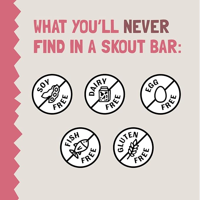 Skout Organic Raspberry Rush Kids Snack Bars (18 Pack) | Organic Kids Snack Bars | Plant-Based Nutrition, No Refined Sugar | Vegan | Gluten, Dairy, Grain, Peanut, Tree Nut & Soy Free
