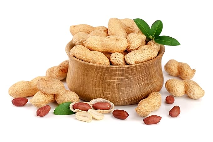 Fruidles Raw Peanuts, Raw Peanuts in Shell, Great for Boiling, Squirrels Feed, Birds Feed and Wildlife, 2 Pounds (Pack of 6)