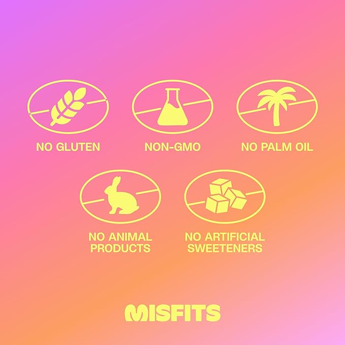 Misfits Vegan Protein Bars - Updated Gluten Free Recipe | Plant Based, Low Sugar & Carb, High Fiber Snacks | Variety Pack of 12 (4 Flavors)