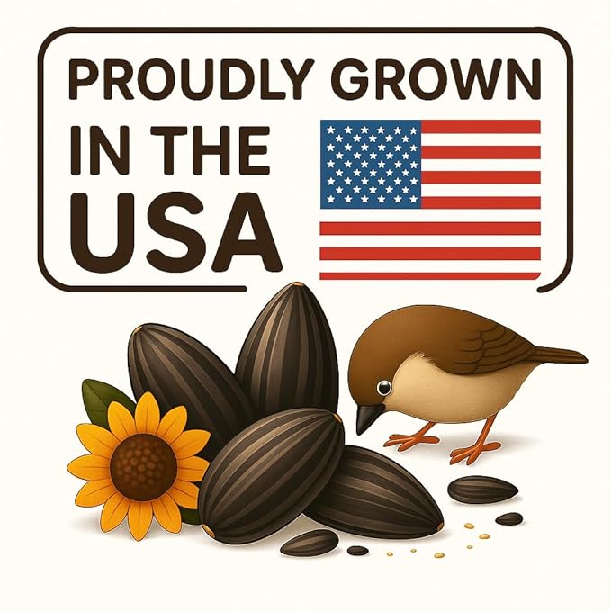 Crazy Nuts | Black Oil Sunflower Seeds for Birds, 10lb | Black Sunflower Seeds for Birds, Sunflower Bird Seed, Wild Bird Feed
