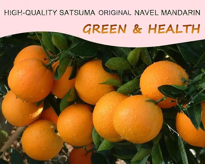 Dehydrated Orange Slices,10.58oz / 300g, Dried Orange Slices Sugar Free Natural Fruit for Cocktails/Cakes/Crafts/Old Fashioned Citrus Garnish Garland Candied Mandarin Decoration Wheels Bulk