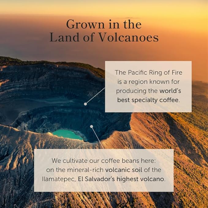 Bean of Fire El Salvador Pacamara Honey Ground Coffee ??Medium Roast, Single Origin Specialty, Creamy & Nutty Cup (16 oz)