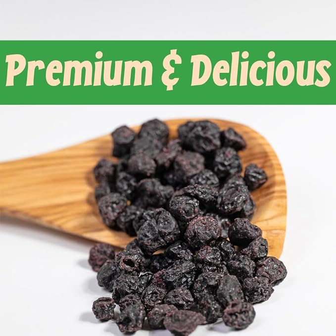 Sincerely Nuts Dried Blueberries (1 LB) Gluten-Free, Vegan & Kosher Snack - Fresh from USA - Bulk, Delicious Dried Fruit for all your Smoothies, Baking, Pancakes and Salads Needs