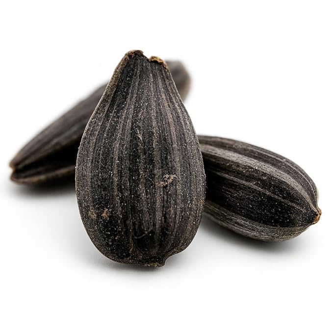Crazy Nuts | Black Oil Sunflower Seeds for Birds, 10lb | Black Sunflower Seeds for Birds, Sunflower Bird Seed, Wild Bird Feed
