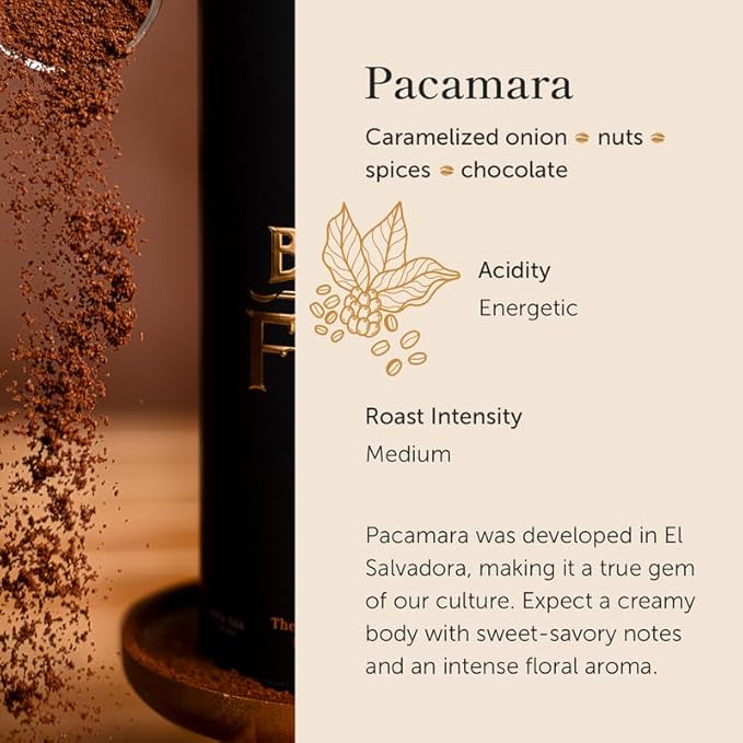Bean of Fire El Salvador Pacamara Honey Ground Coffee ??Medium Roast, Single Origin Specialty, Creamy & Nutty Cup (16 oz)