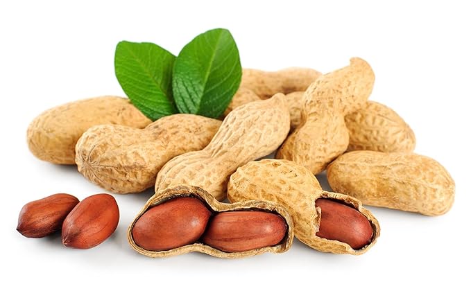 Fruidles Raw Peanuts, Raw Peanuts in Shell, Great for Boiling, Squirrels Feed, Birds Feed and Wildlife, 2 Pounds (Pack of 6)