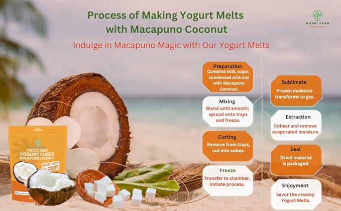 (Pack of 3) NOKKI FARM Freeze-dried Macapuno Coconut Yogurt Melts 50g | No Artificial Colors | No preservatives | Non GMO