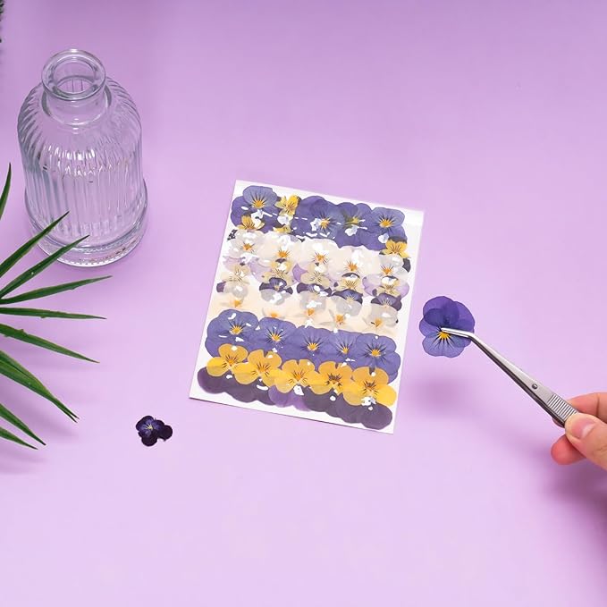 40 Pcs 8 Kinds Natural Dried Pressed Edible Flower Cupcake Toppers Purple Small Flat Cake Topper Decorating for Cocktails Resin Jewelry Making DIY Art Crafts Birthday Anniversary Decoration Supplies