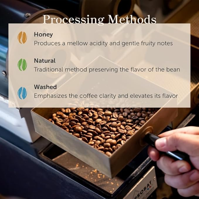 Bean of Fire El Salvador Pacamara Honey Ground Coffee ??Medium Roast, Single Origin Specialty, Creamy & Nutty Cup (16 oz)