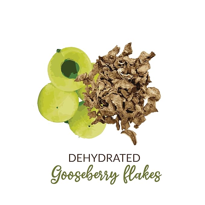 SHROOTS Dehydrated Gooseberry (Amla) Flakes Pure Vegetarian Gluten-Free No Added Sugar Easy Cooking Essential Machine Dried Vegetables with Natural Aroma Ideal for Everyday Meals 5.29 oz, Pack of 1