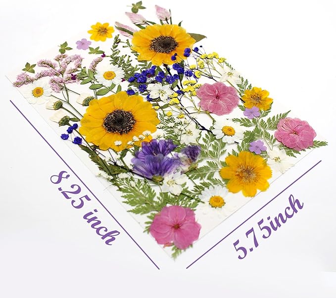 16 Types Boho Dried Pressed Flowers for Craft, Leaf Plant Herbarium for Resin Molds Jewelry Making Floral Decors竊뉰oho Colorç«?,<div>