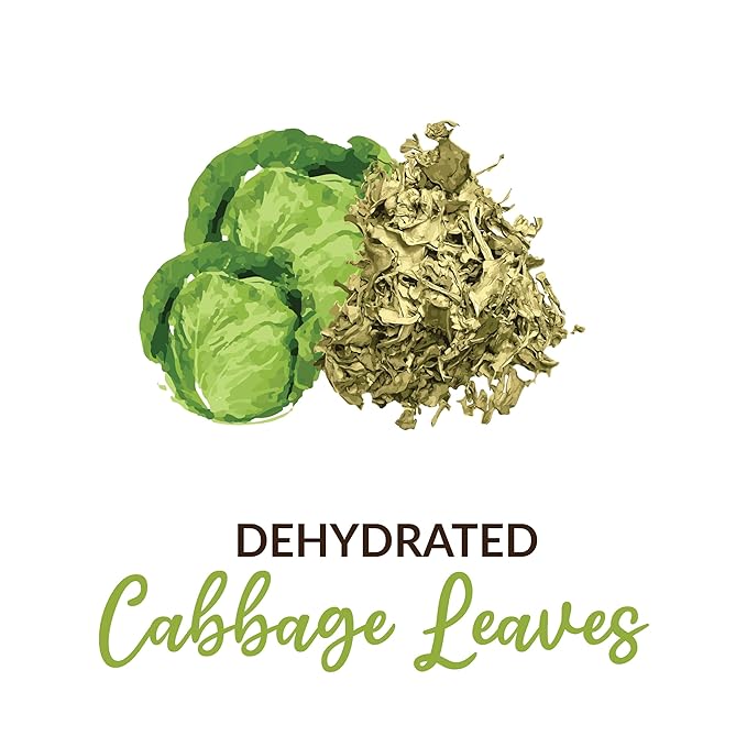 SHROOTS Dehydrated Cabbage Flakes ??Air-Dried, Gluten-Free Dried Cabbage Vegetables with Natural Aroma for Soups, Salads, Cooking, Camping & Survival No Additives or Preservatives - 1.59 oz, Pack of 1