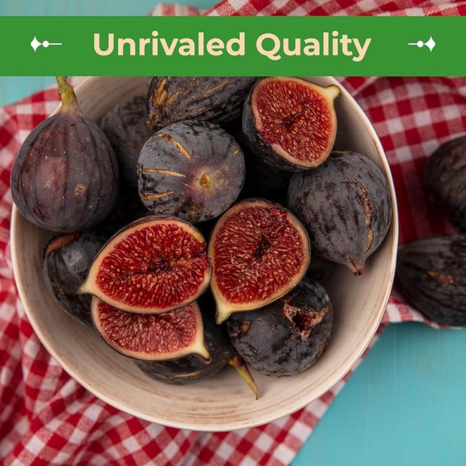 Sincerely Nuts Organic Dried Turkish Figs (2 LB)-Vegan, Kosher, and Gluten-Free Food-Nutritious and Delicious On-the-Go Snack-Loaded with Vitamins and Minerals-Enjoy for Breakfast, Lunch, and Dinner