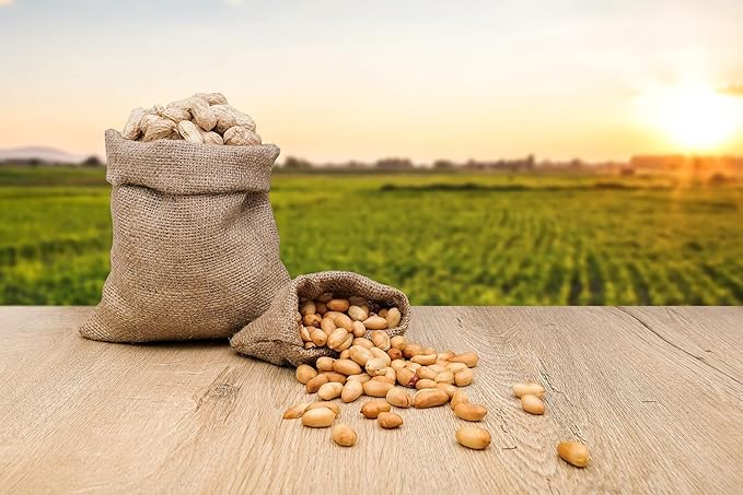 Fruidles Raw Peanuts (2 Pounds (Pack of 12))