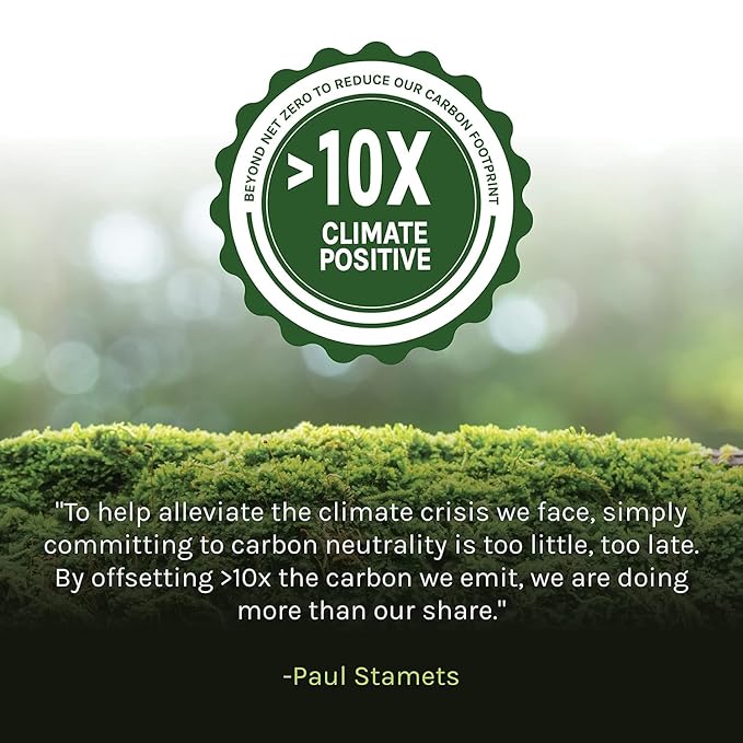 Host Defense MycoBrew Cocoa - Cocoa Drink Mix Includes Lion's Mane Mushroom Powder - Superfood Powder Drink Mix with Fair Trade Certified Chocolate - 10 Packets (10 Servings)