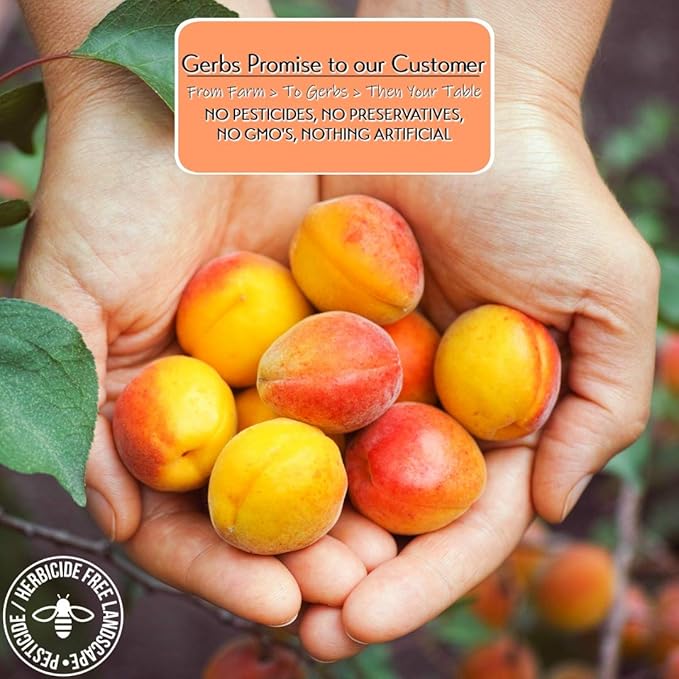 Gerbs Dried Apricots 2 lbs. | Unsulfured, No Additives, Resealable Bag | Naturally Sweet & Chewy | Top 14 Allergen-Free
