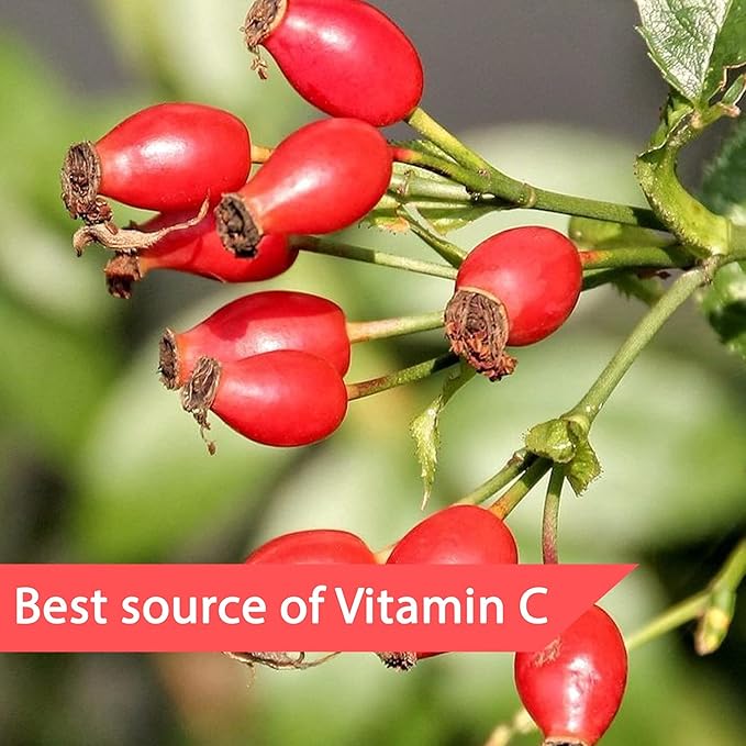 Arashan Whole Dried Rose hips 1 Pound - 100% Natural & Raw with No Additives. Perfect ingridient for Herbal Teas, Jam, Syrup, Bread. Nutritious Snack with Vitamins C,A,B,E (Pack of 2)