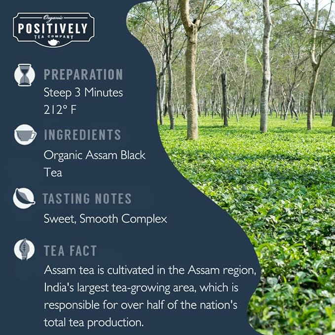 Organic Positively Tea Company, Indian Tea Sampler, Loose Leaf, 4 Ounce, 3 Pack