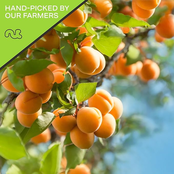 NUT CRAVINGS - Sun Dried Turkish Apricots, No Sugar Added, Unsweetened (16oz, 1 LB) Bulk Dry Fruits Packed Fresh in Resealable Bag - Sweet Healthy Snack, Naturally Grown, Vegan, Kosher