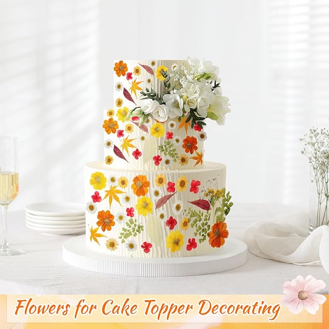 96 Pcs Fall Natural Dried Pressed Flowers for Cake Topper Decorating Cupcake Toppers Cocktails Resin Jewelry Making DIY Art Crafts